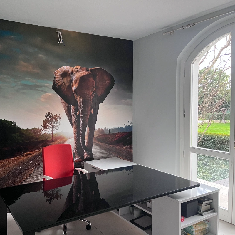 Decor - Carta da parati